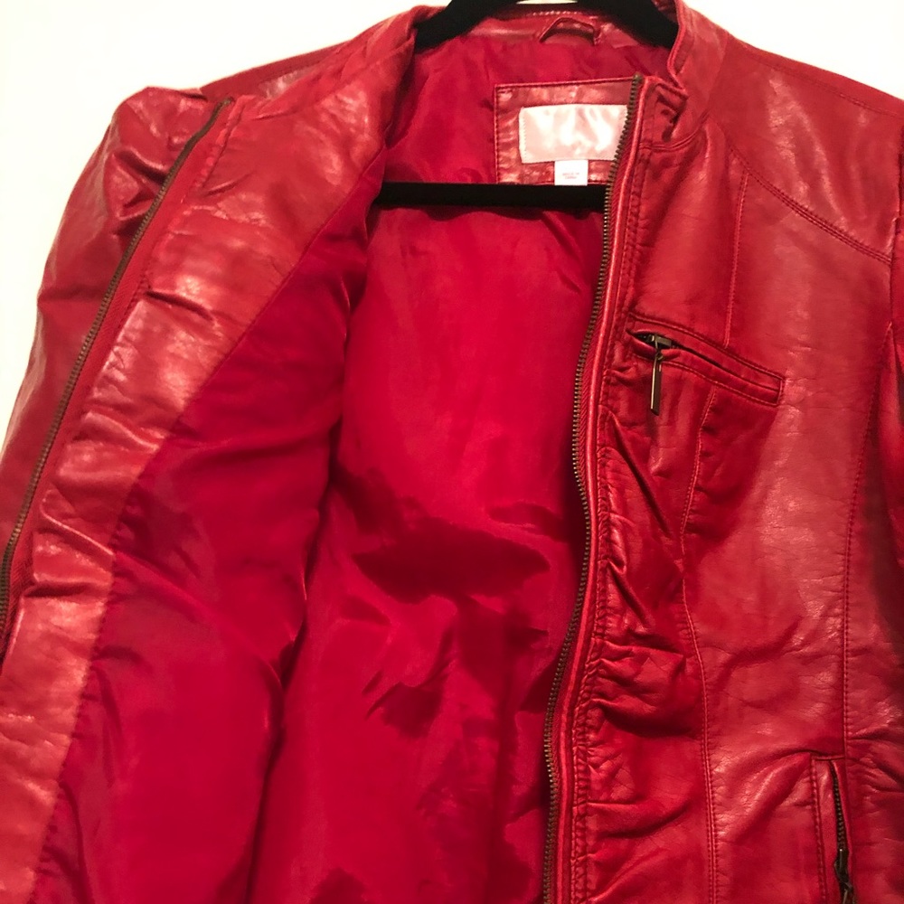 Jacket - Picture 6 of 8